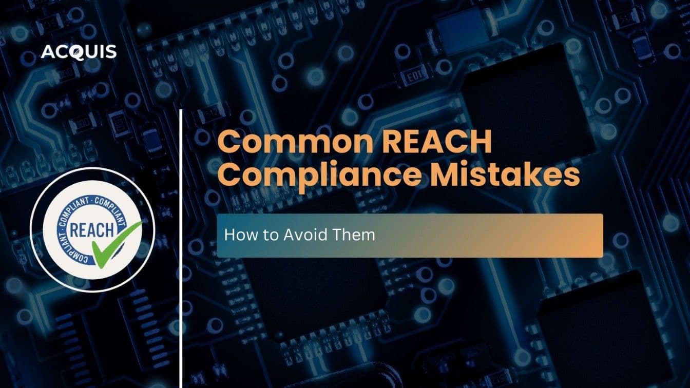Common REACH Compliance Mistakes