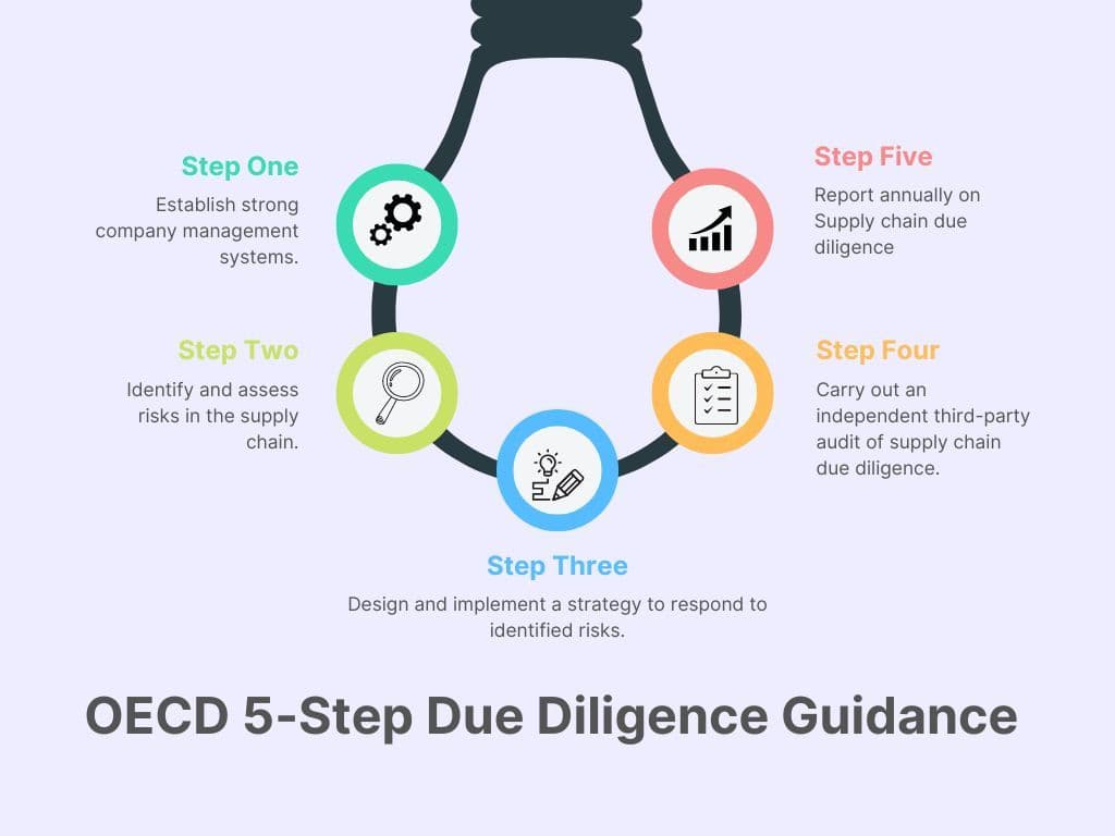 OECD 5-Step Due Diligence Guidance.jpg